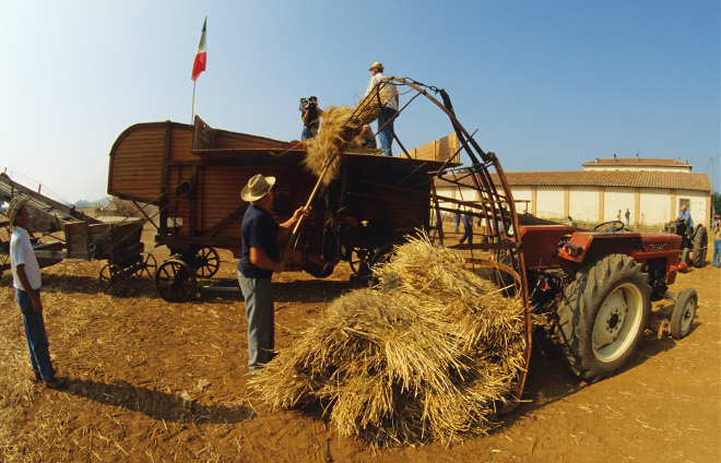 Agrigoltura , Toscana